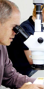 廈門吉宏科技股份有限公司